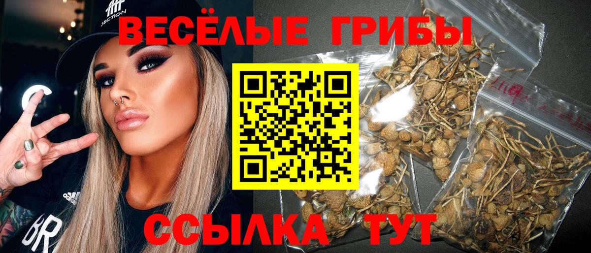 Сальск  даркнет сайт  Галлюциногенные грибы мухоморы  Вход с VPN  Псилоцибиновые грибы MAGIC MUSHROOMS 